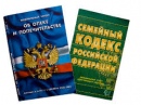 Проверка органами опеки и попечительства