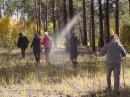 Прогулки по лесу